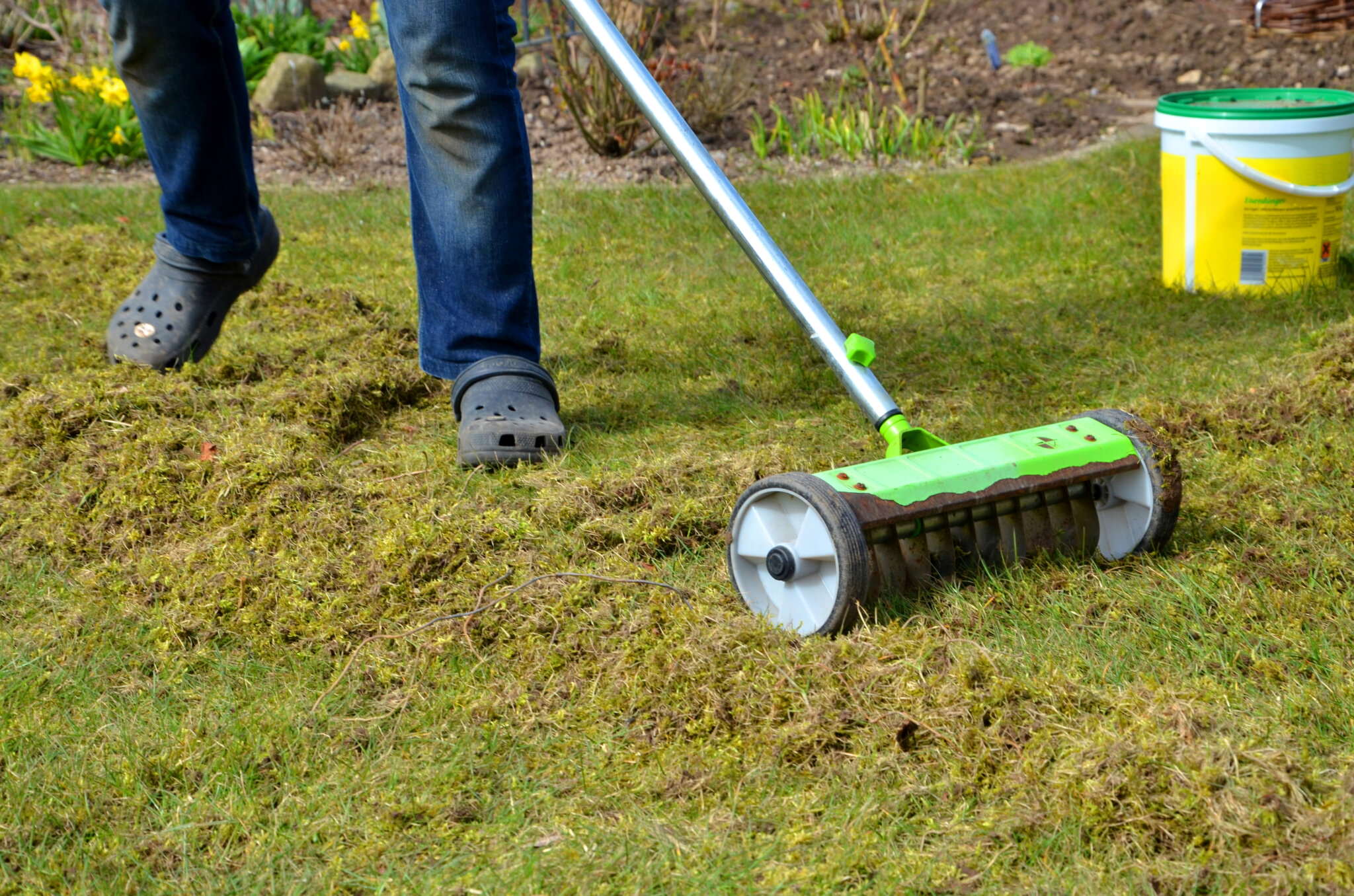 Anleitung und Tipps zum Rasen lüften Samenhaus Gartenblog