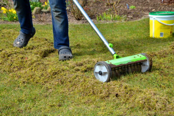 Anleitung und Tipps zum Rasen lüften Samenhaus Gartenblog