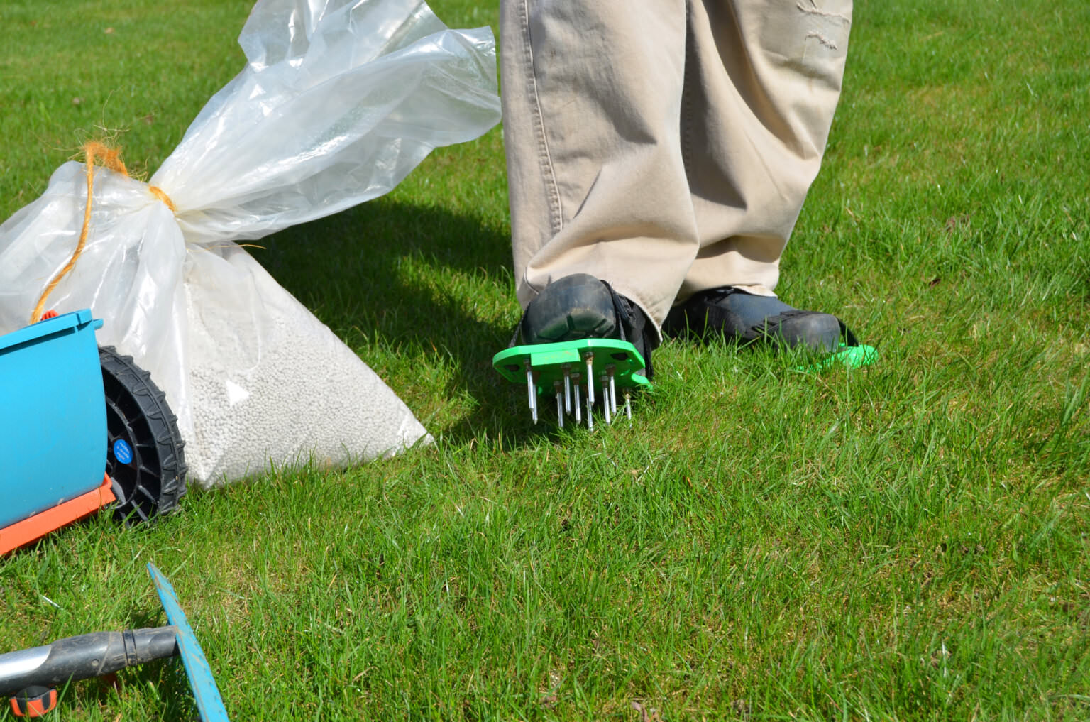 Anleitung und Tipps zum Rasen lüften Samenhaus Gartenblog