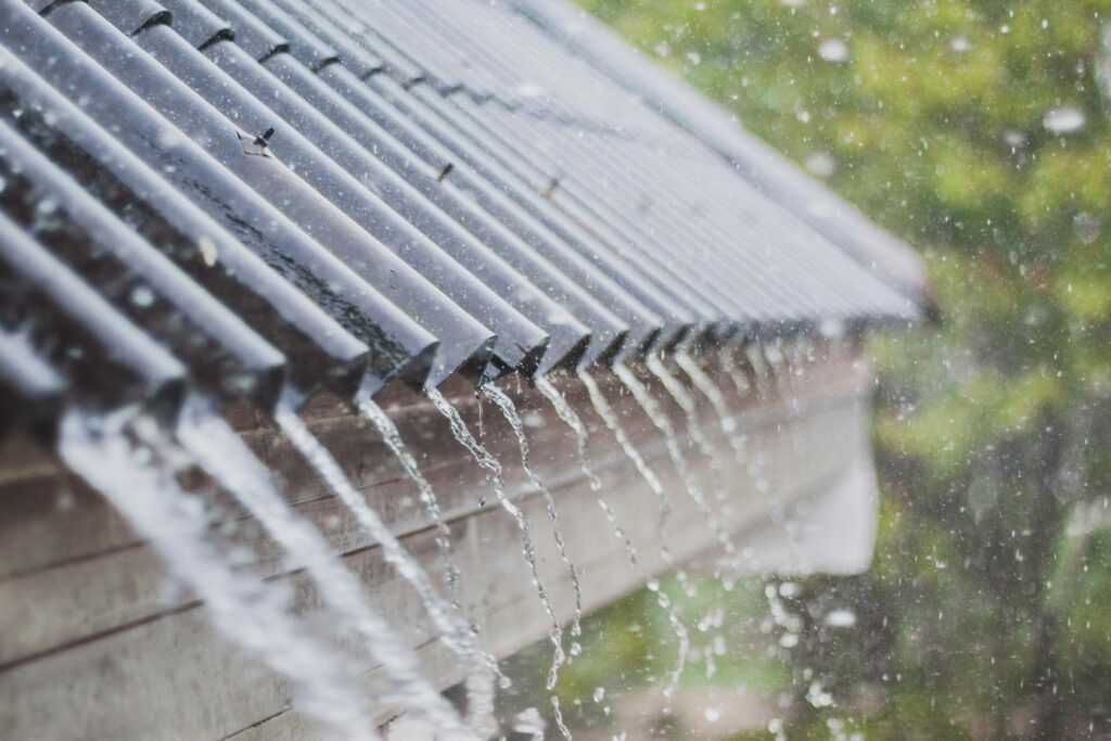 Starkregen – wenn zu viel Wasser dem Garten zu schaffen macht