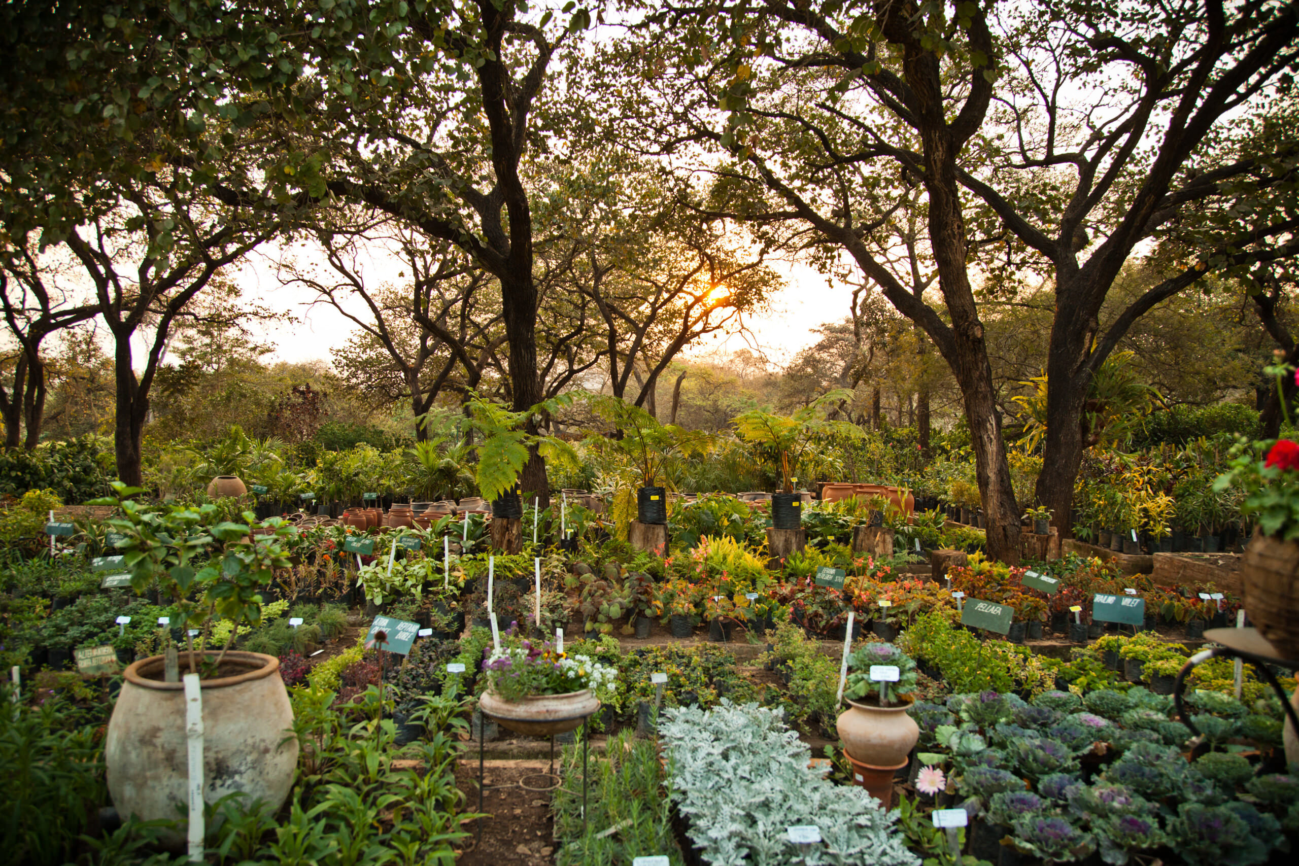 Tipps fr mehr Permakultur: nachhaltig, naturnah, zeitsparend - Samenhaus  Gartenblog