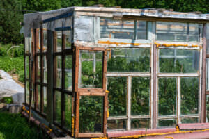 Tomatenhaus Fenster