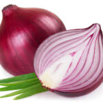 Zwiebel Bulbing Onion Rossa di Toscana