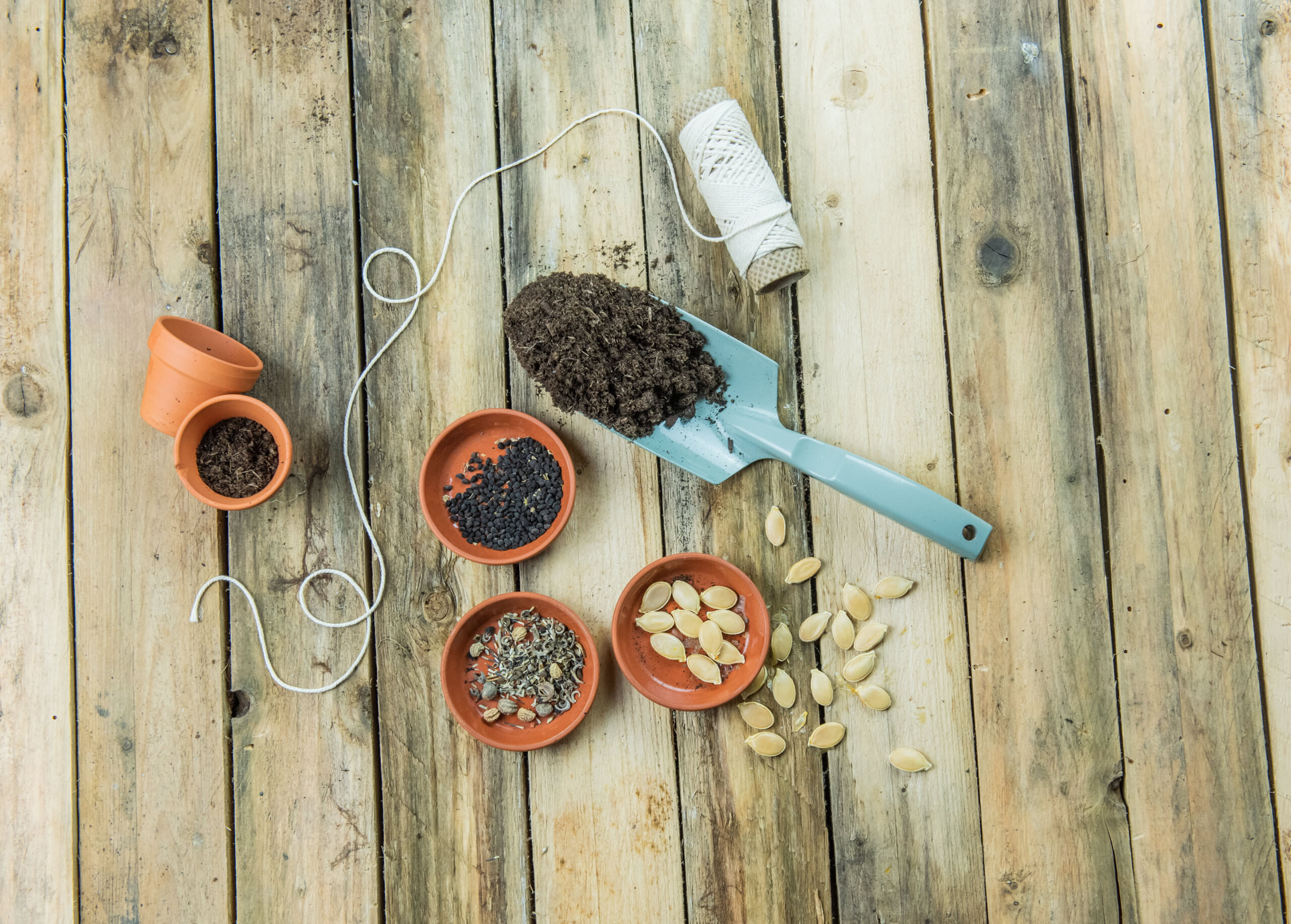 UPKOCH Pflanzenanzucht Tray - Keimschale Für Gemüse Und Kräuter