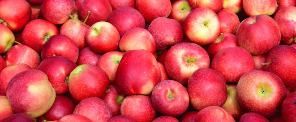 Alte Apfelsorten: hervorragender Geschmack und gute Verträglichkeit