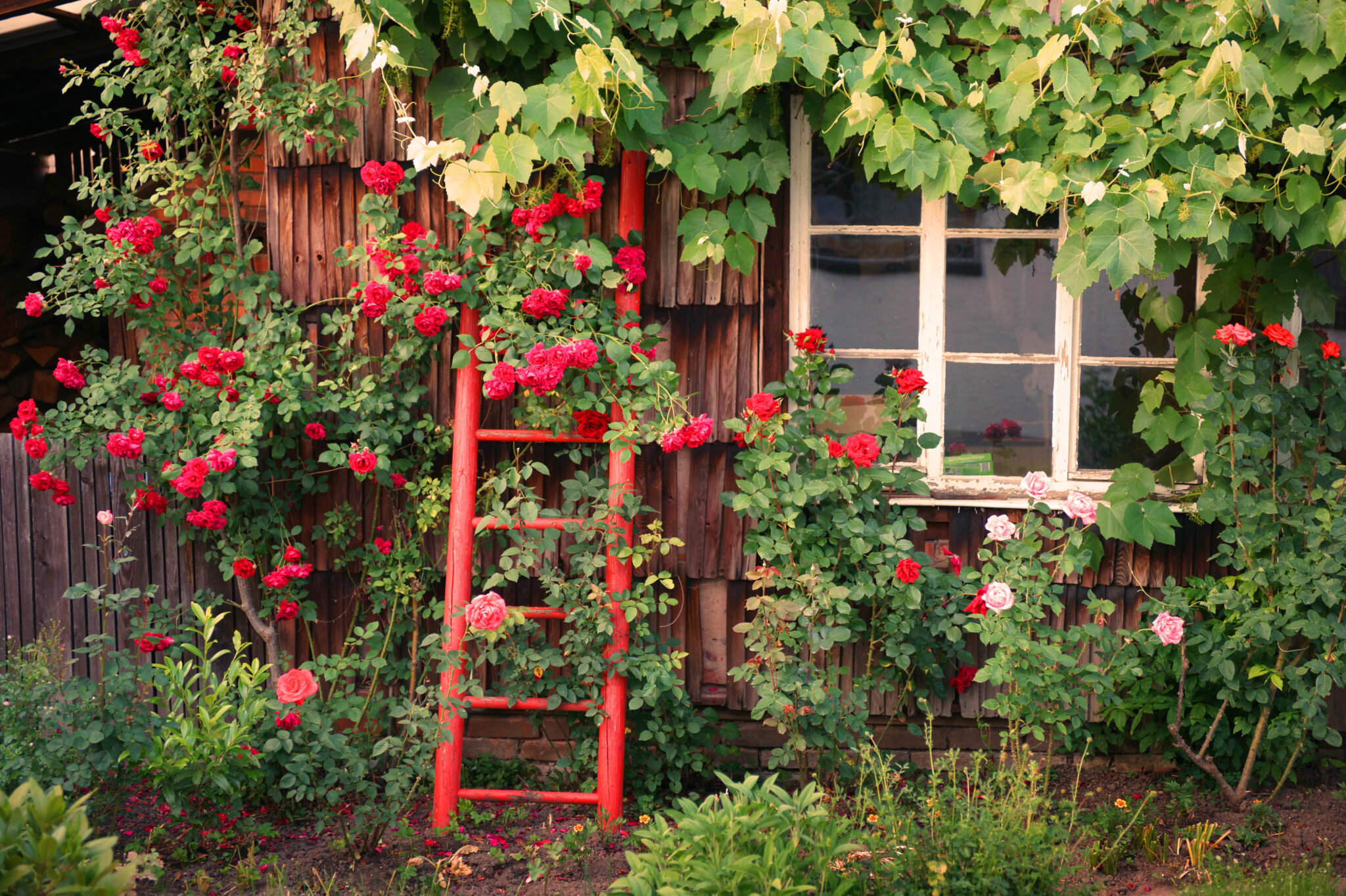 Bauerngarten anlegen bunte Vielfalt mit Mischkultur Samenhaus Gartenblog