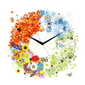 Blumenuhr