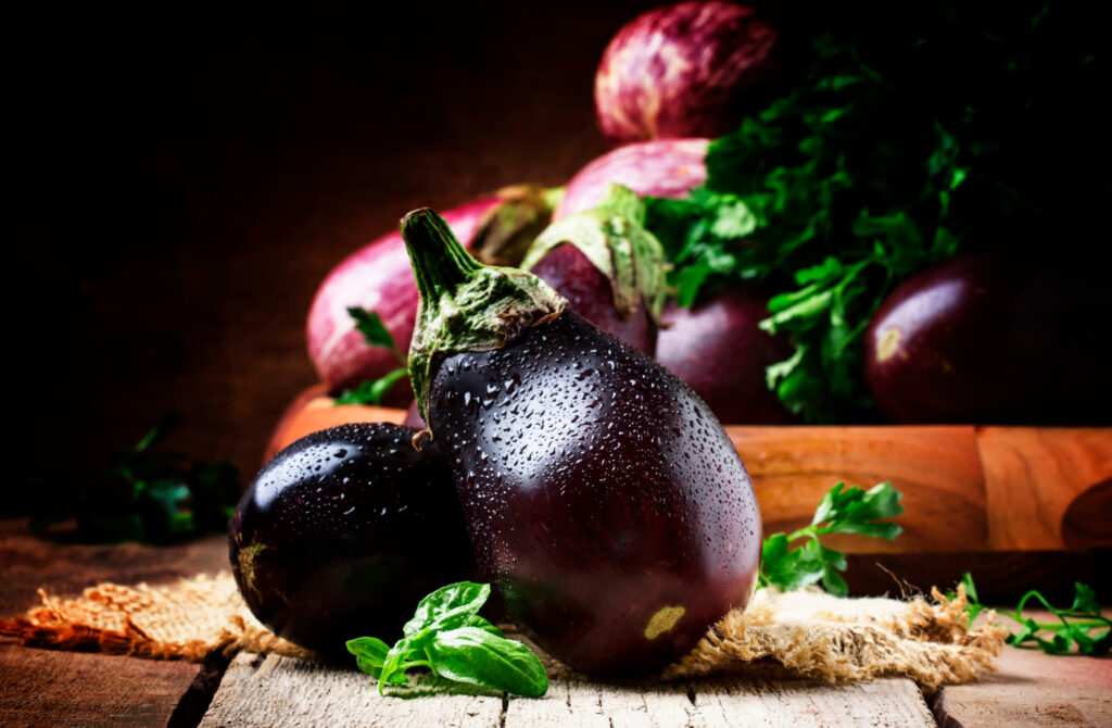 Exoten im Garten Was Sie beachten müssen und ob sie sich lohnen