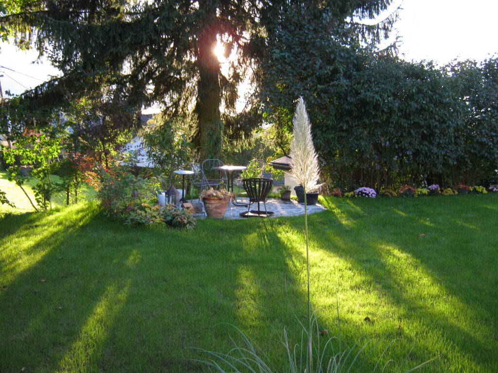 Garten auf der Nordseite: Was Sie anbauen können und was Sie vorziehen sollten