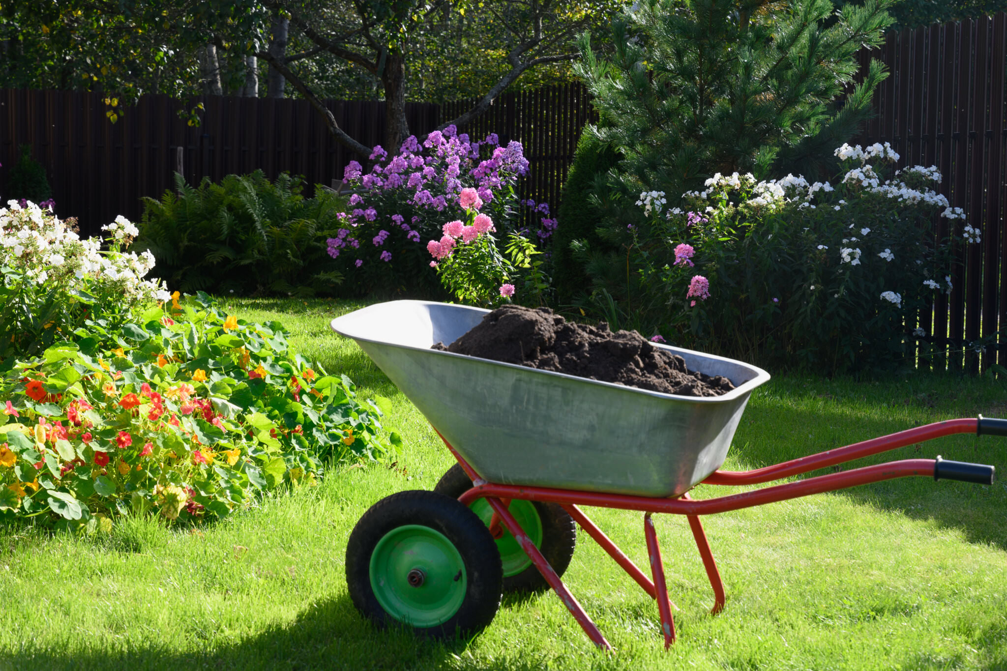 Garten auf der Nordseite Was Sie anbauen können und was Sie vorziehen