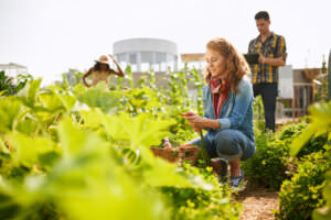 Beet- und Gartenplanung