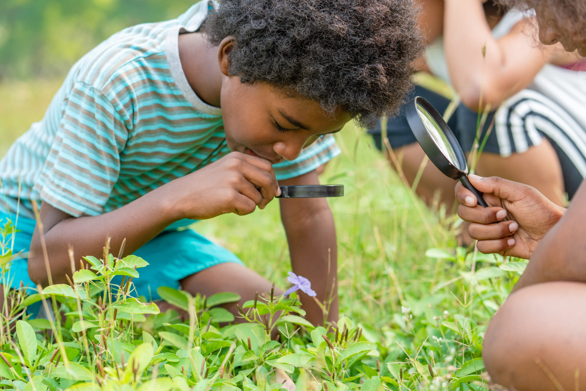 Gartenprojekt Mit Kindern