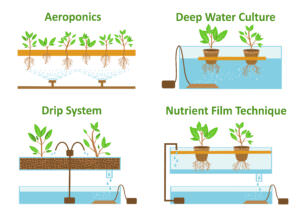 Hydroponik Systeme