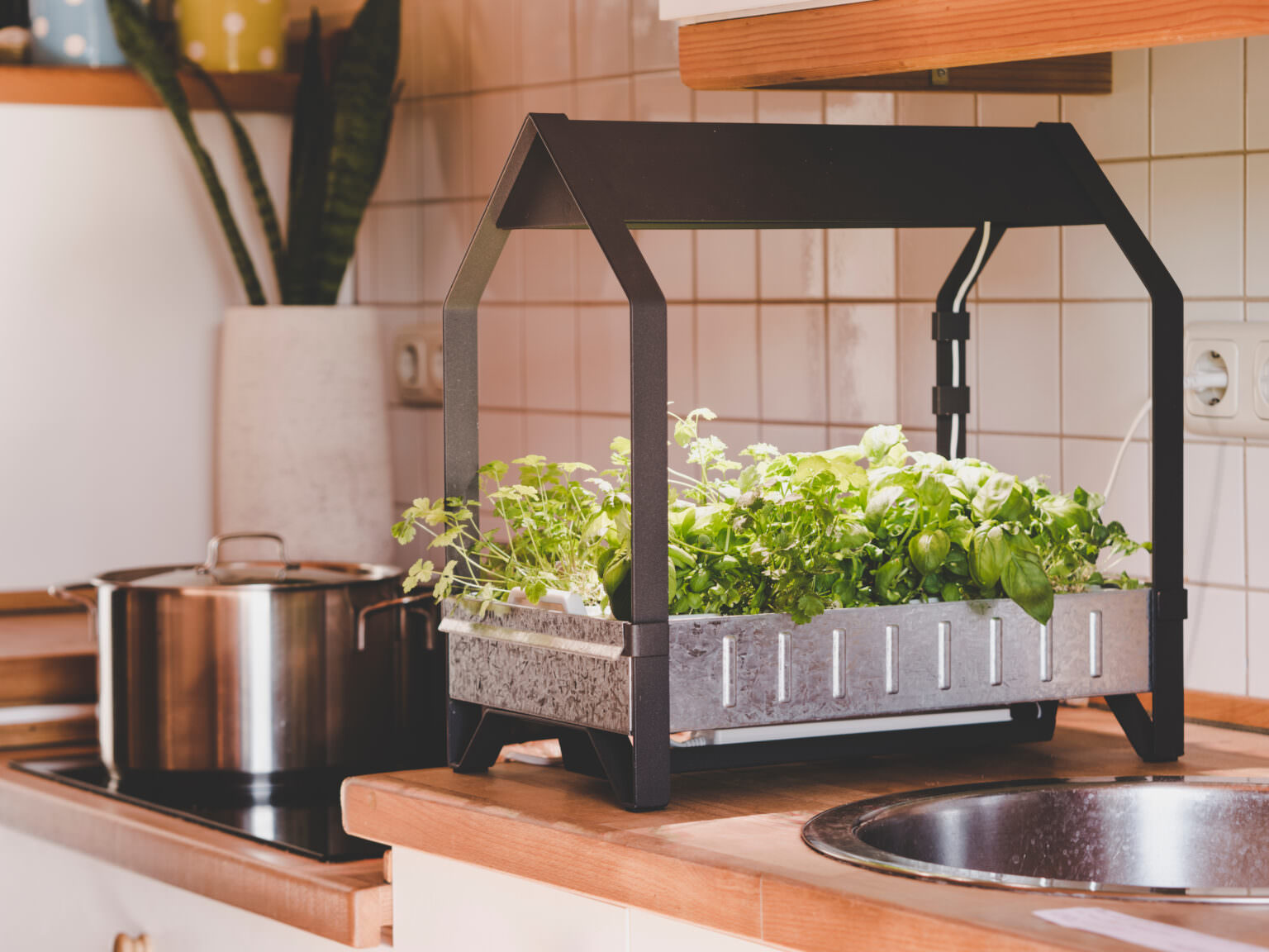 Gemüseanbau ohne Erde so funktioniert Hydroponik Samenhaus Gartenblog