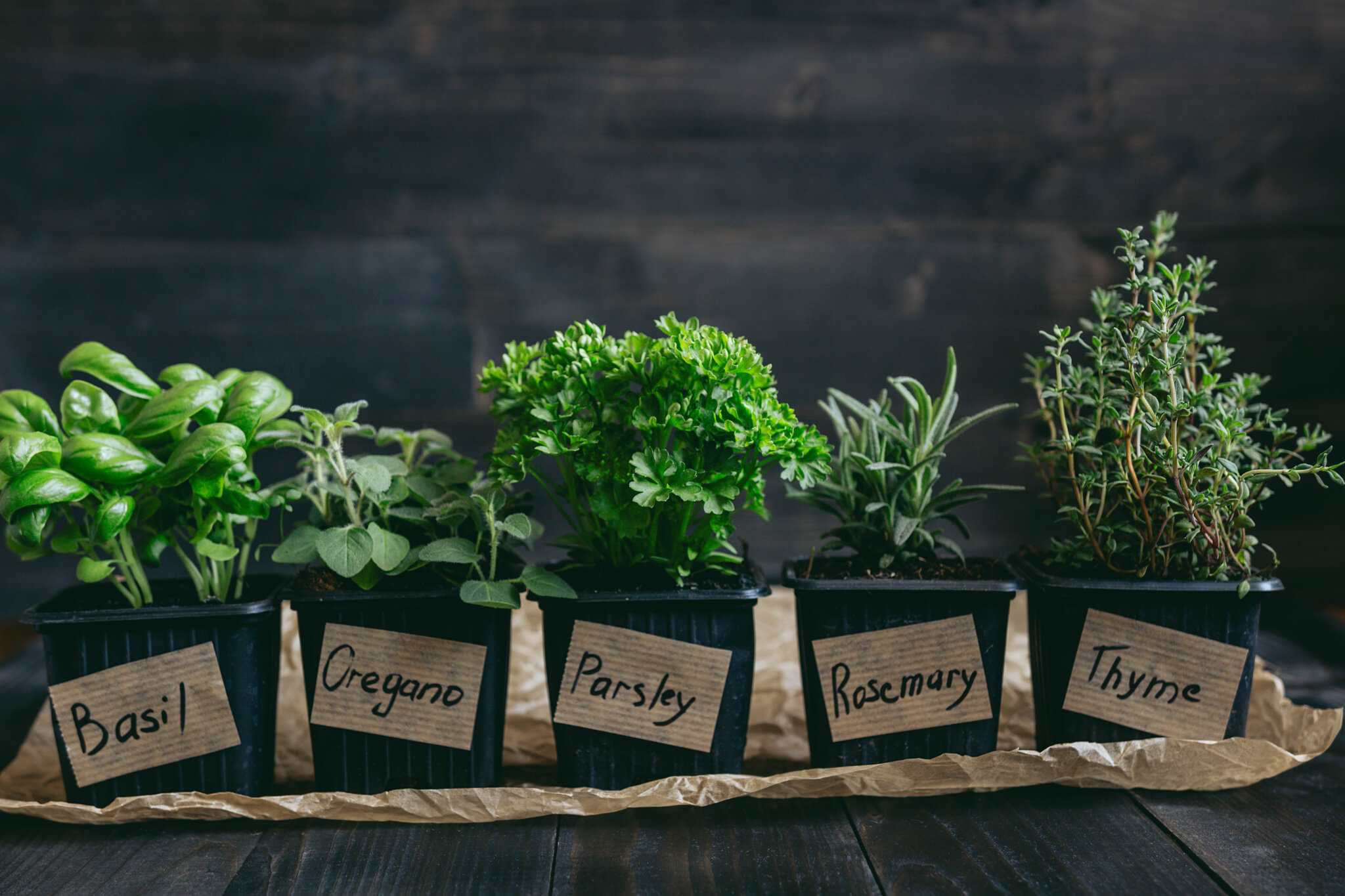 Kräuter haltbar machen so geht es Samenhaus Gartenblog