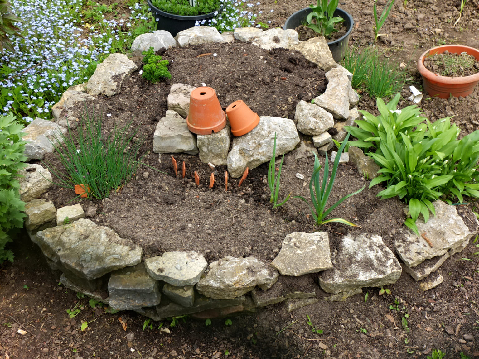 DIY Kräuterschnecke die Kräutervielfalt nutzen Samenhaus Gartenblog