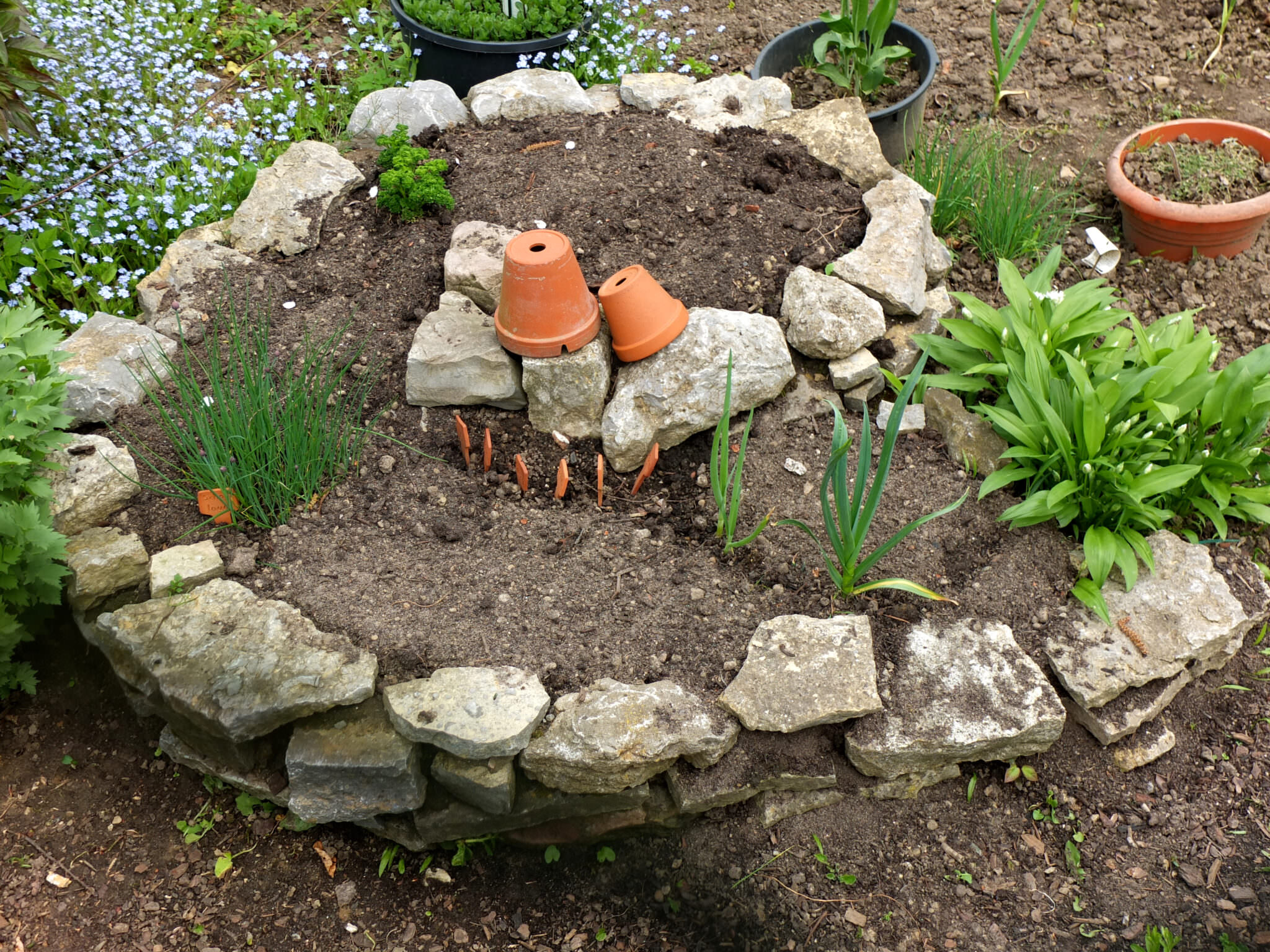 DIY Kräuterschnecke die Kräutervielfalt nutzen Samenhaus Gartenblog