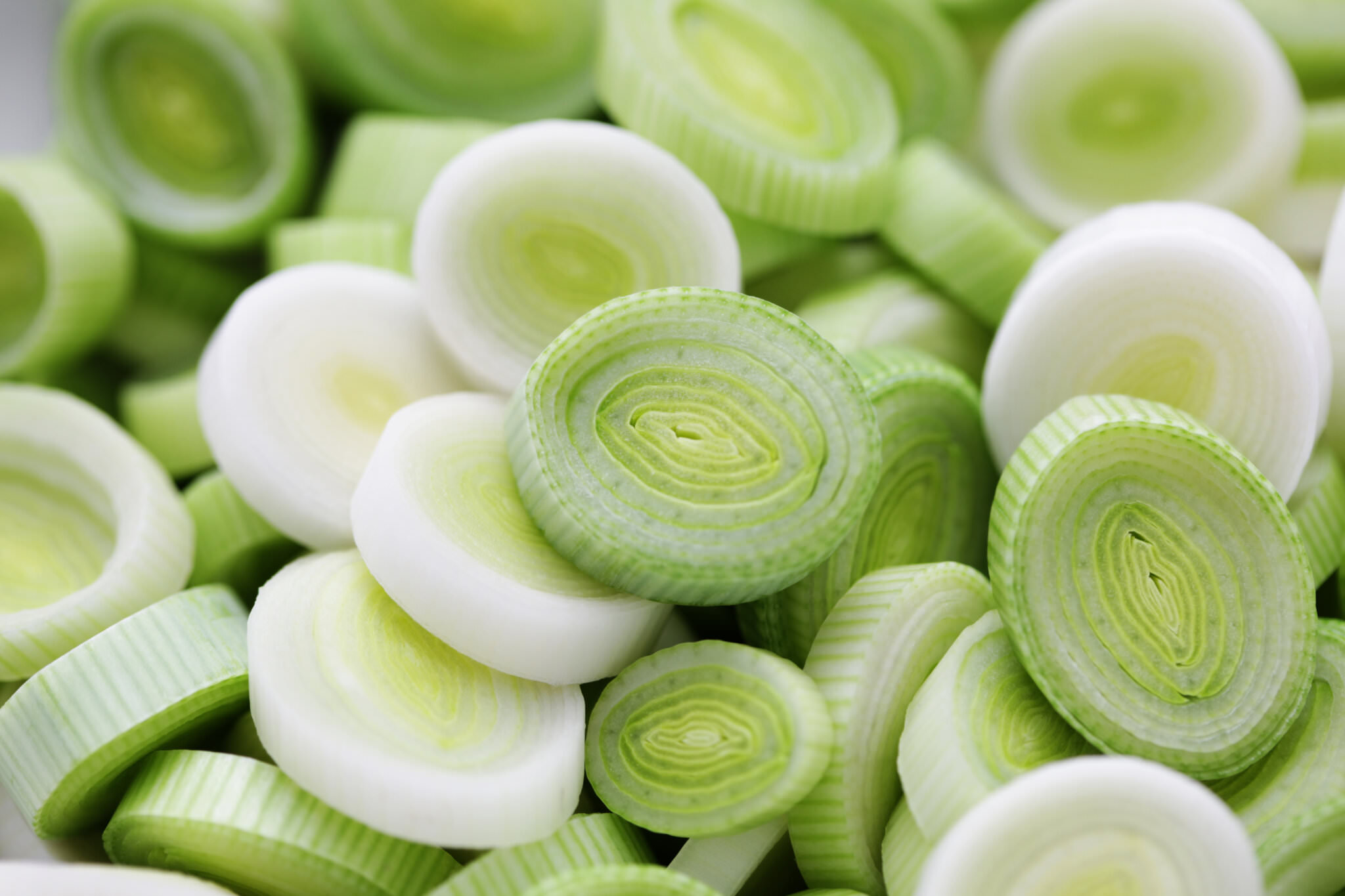 Porree – die „Stangenzwiebel“ aus dem Garten - Samenhaus Gartenblog