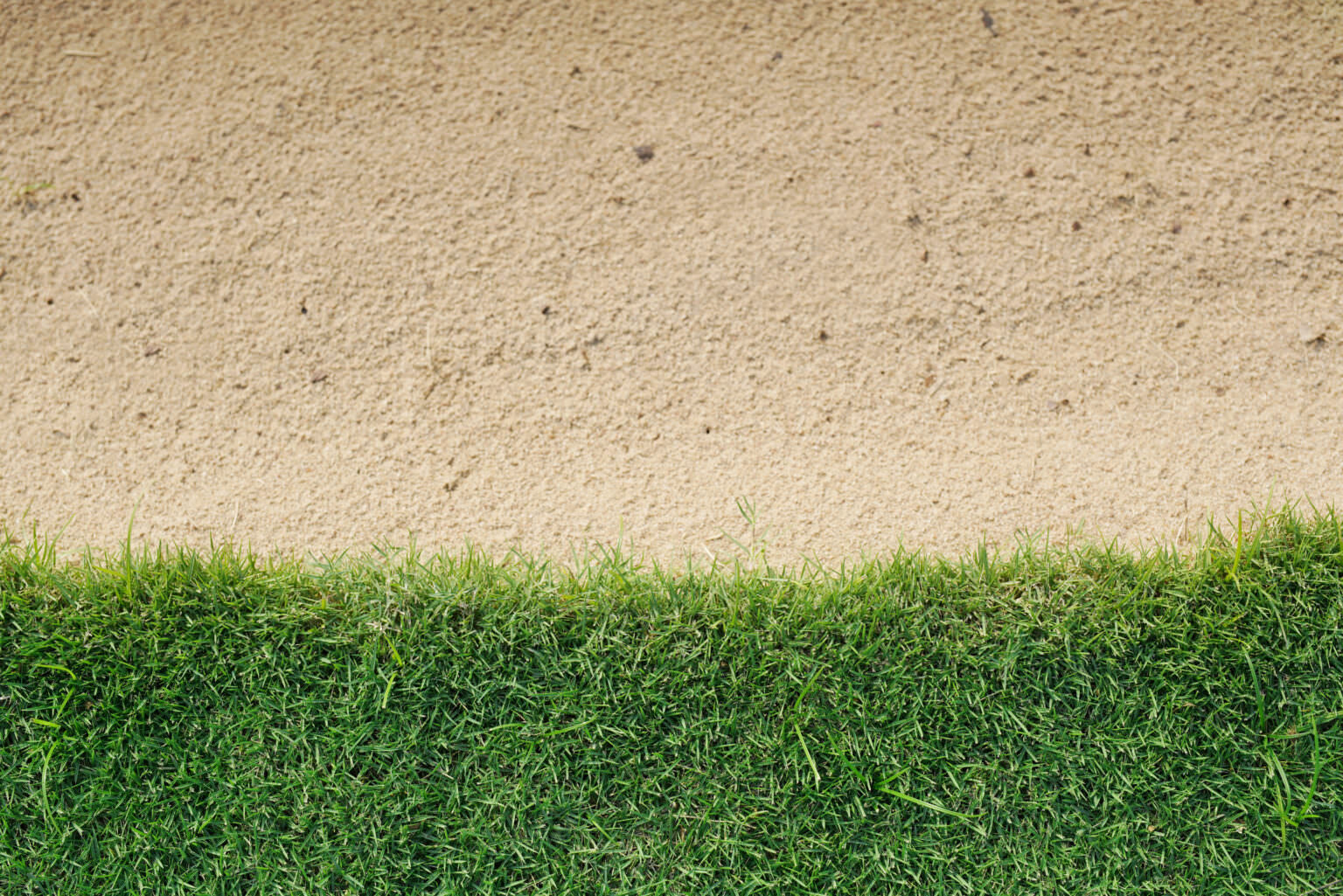Rasen sanden ein Geheimtipp für schwere Böden Samenhaus Gartenblog