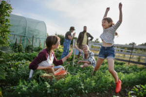 Selbstversorger Gartenarbeit