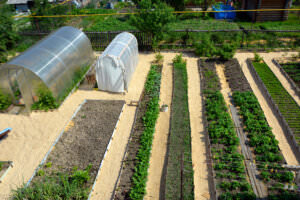 Gemüsegarten Planung