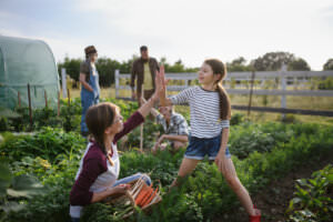 Garten Selbstversorgung