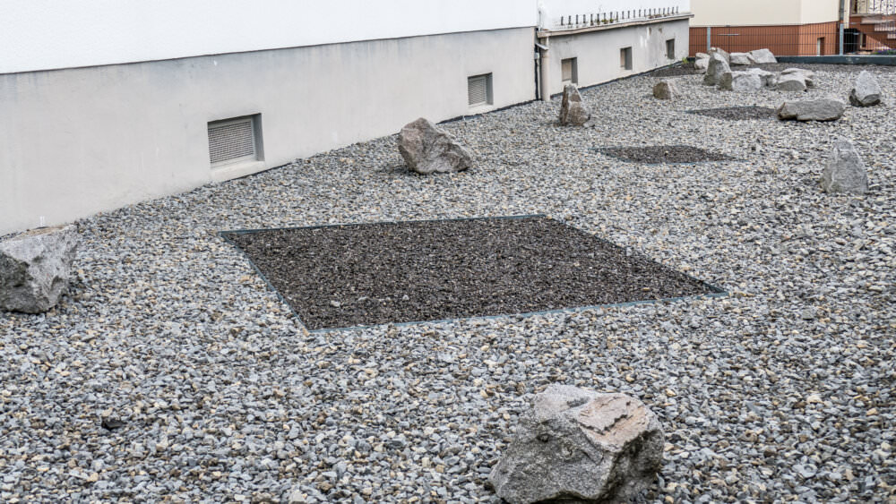 Vorgarten Schottergarten