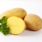 Kartoffeln Ackersegen