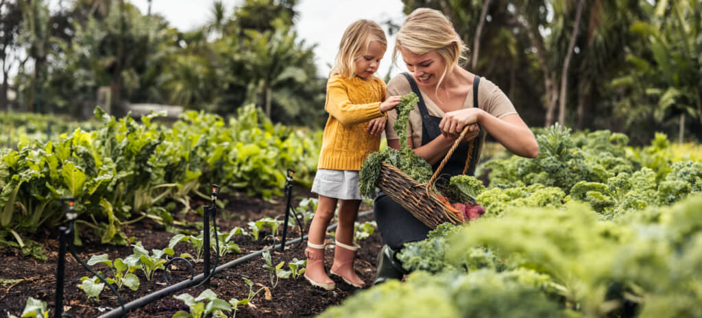 4-Jahres-Plan für den Selbstversorgergarten: Garten anlegen und vergrößern