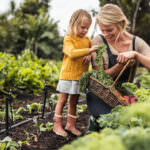 4-Jahres-Plan für den Selbstversorgergarten: Garten anlegen und vergrößern