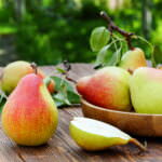 Alte Birnensorte Bunte Julibirne