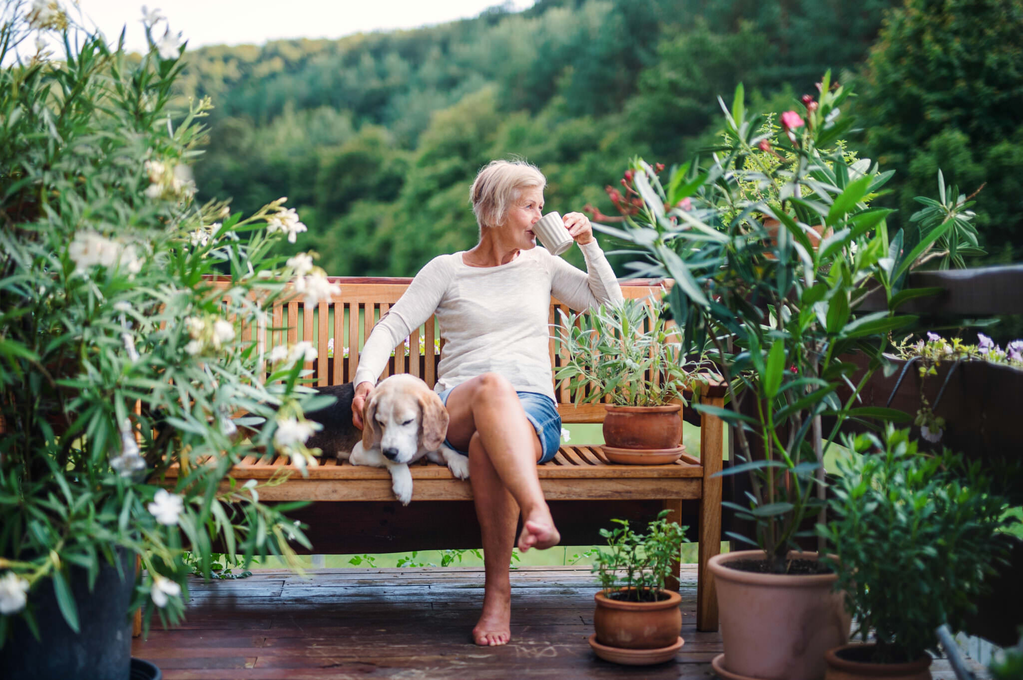 Der Garten im Alter Gartengestaltung für Senioren Samenhaus Gartenblog