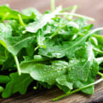 Rucola