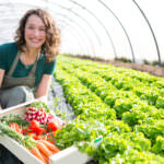 Gewächshaus als Gemüselager: Was Sie einlagern können und was Sie beachten sollten