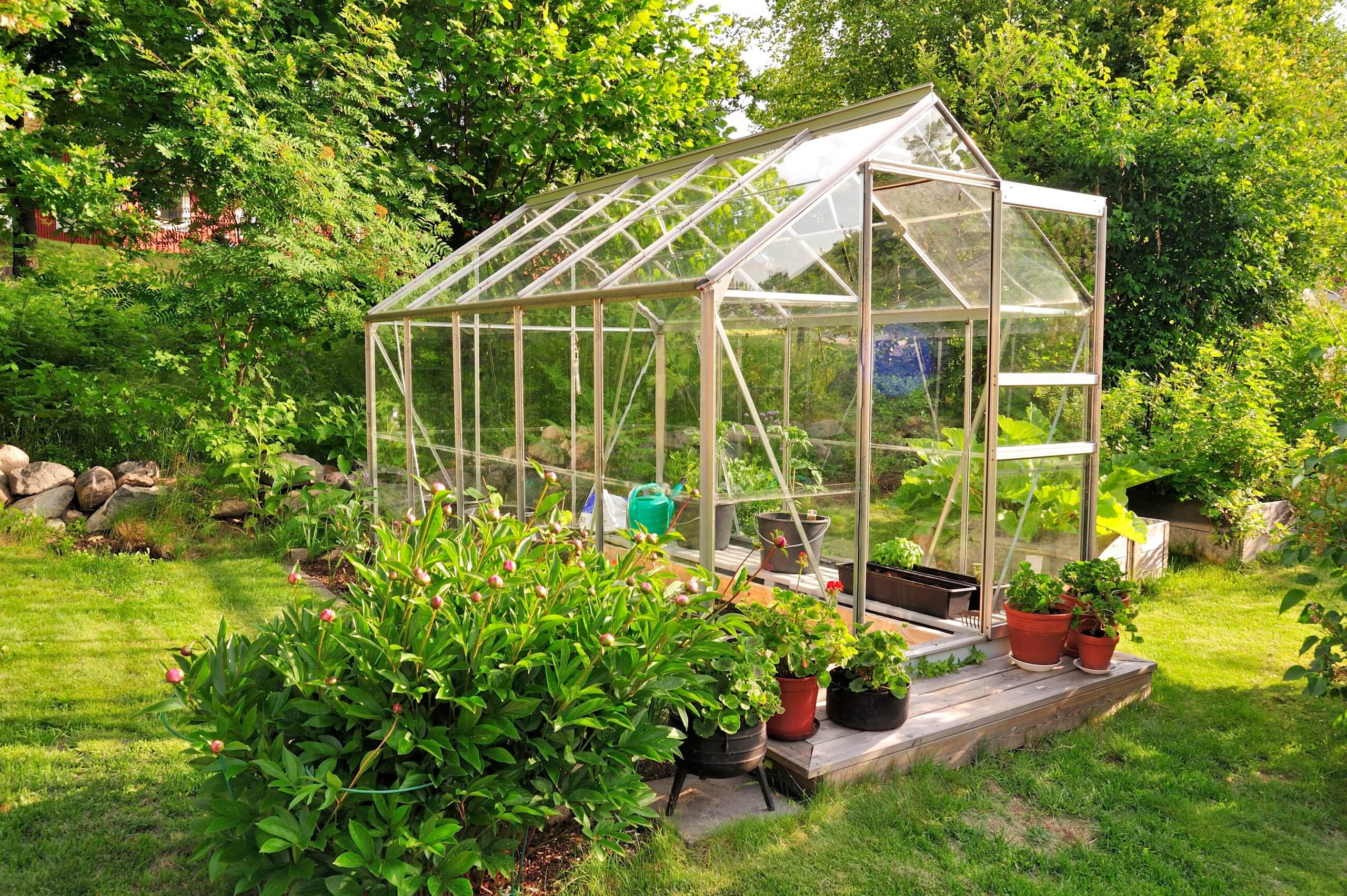 Gewächshaus selbst bauen Eine Anleitung in 5 Schritten Samenhaus