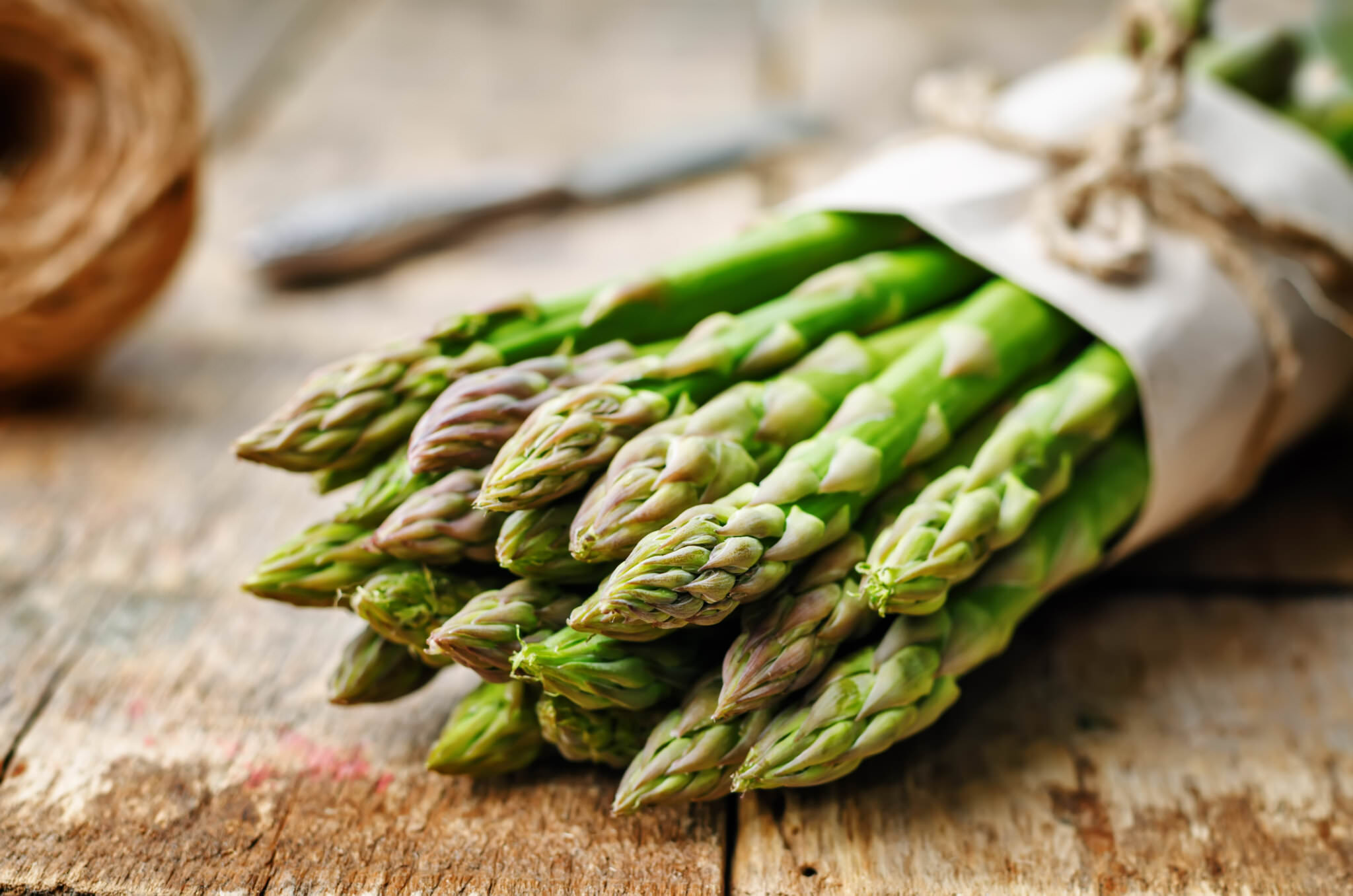 Grünen Spargel anbauen keine hohen Ansprüche an den Boden Samenhaus