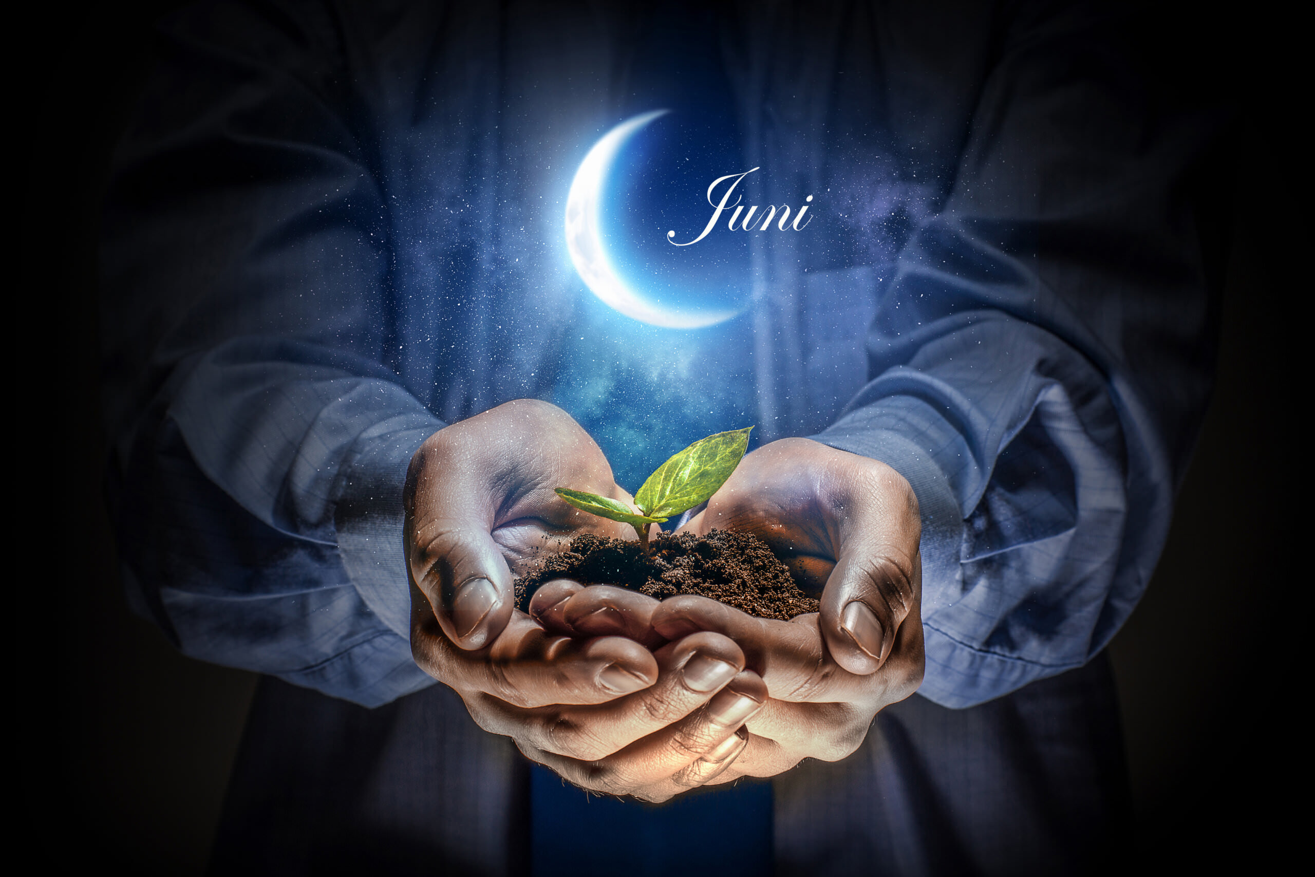 Der Mondkalender für Gärtner im Juni 2022 Samenhaus Gartenblog