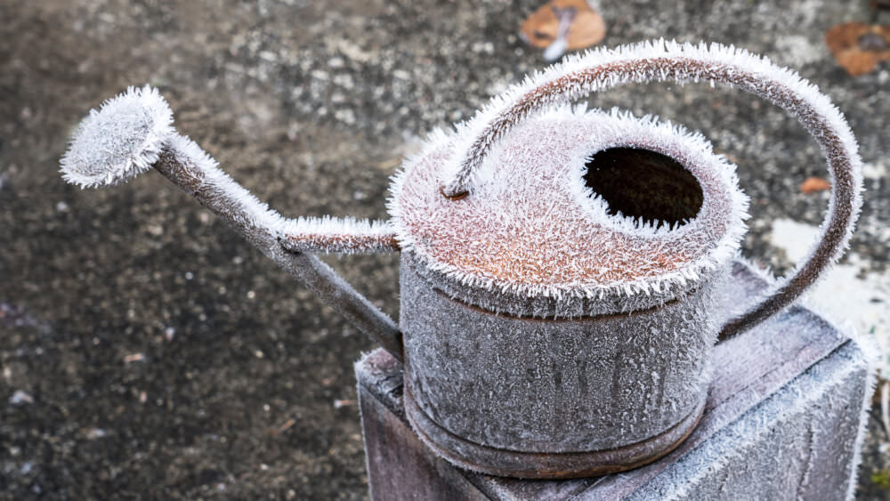 Winter Gießkanne