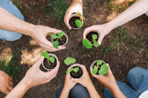 Gartenarbeit Schule