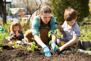 Garten Schule