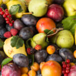 Vergessene Früchte – Mirabellen, Maulbeeren, Mispeln & Co.