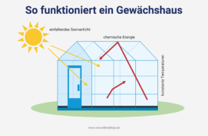 So funktioniert ein Gewächshaus