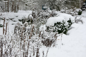 Winter Garten