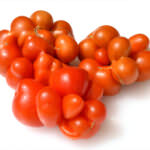 Tomate Reisetomate