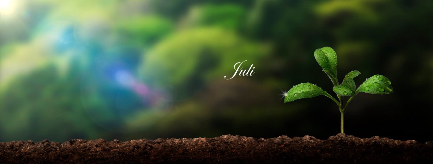 Aussaat Juli