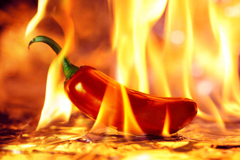 Scharf, schärfer, Chili wie viel Scoville dürfen es denn sein? Samenhaus Gartenblog Scharf, schärfer, Chili wie viel Scoville dürfen es denn sein? Samenhaus Gartenblog