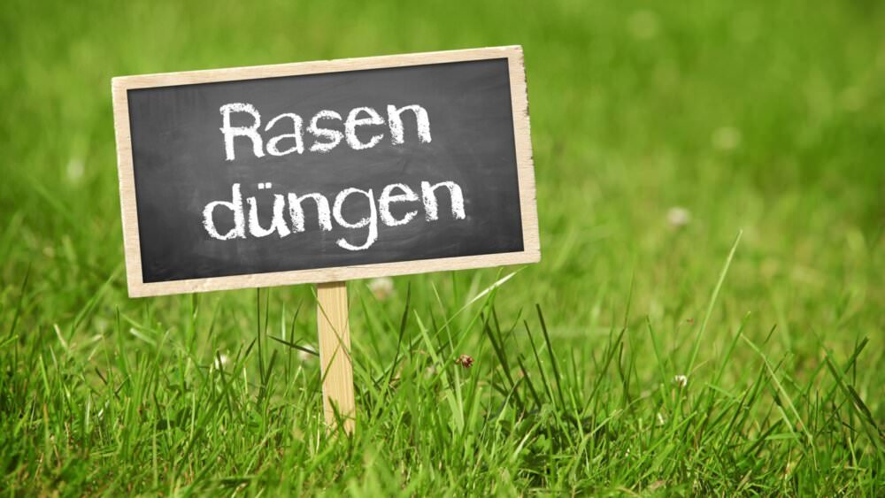 Rasendüngung