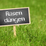 Rasen düngen: Versorgung mit Nährstoffen und bessere Regeneration