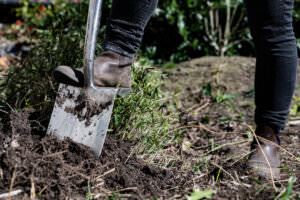 Bodenpflege Umgraben