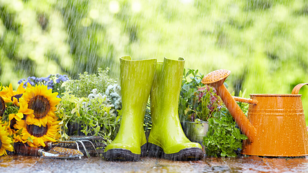Regen Gartenarbeit